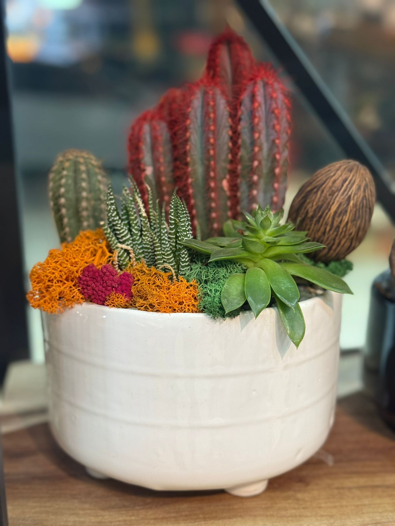 Kaktüs Aranjmanları